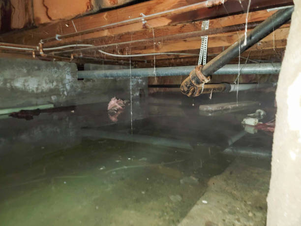 Best Flood restoration services  in Corinth, TX