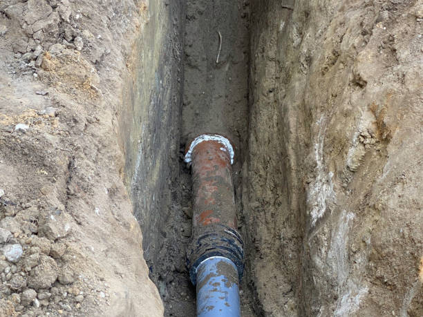 Best Flood damage cleanup  in Corinth, TX
