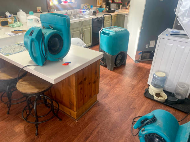 Best Professional water damage repair  in Corinth, TX