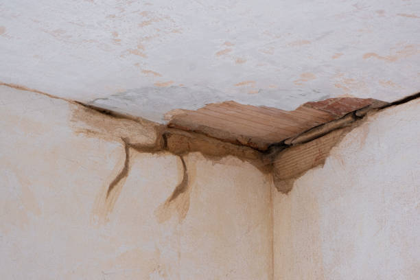 Best Water damage cleanup near me  in Corinth, TX