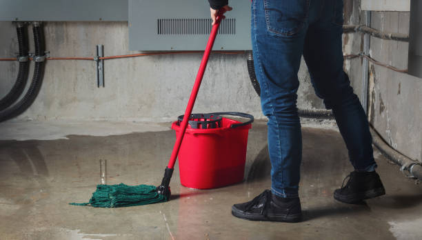 Best Carpet water damage restoration  in Corinth, TX
