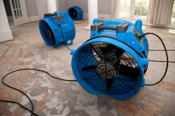 Best Residential water damage restoration  in Corinth, TX