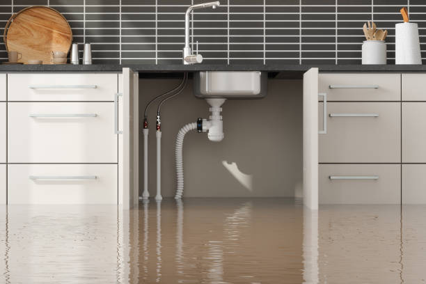 Best Water damage repair service  in Corinth, TX